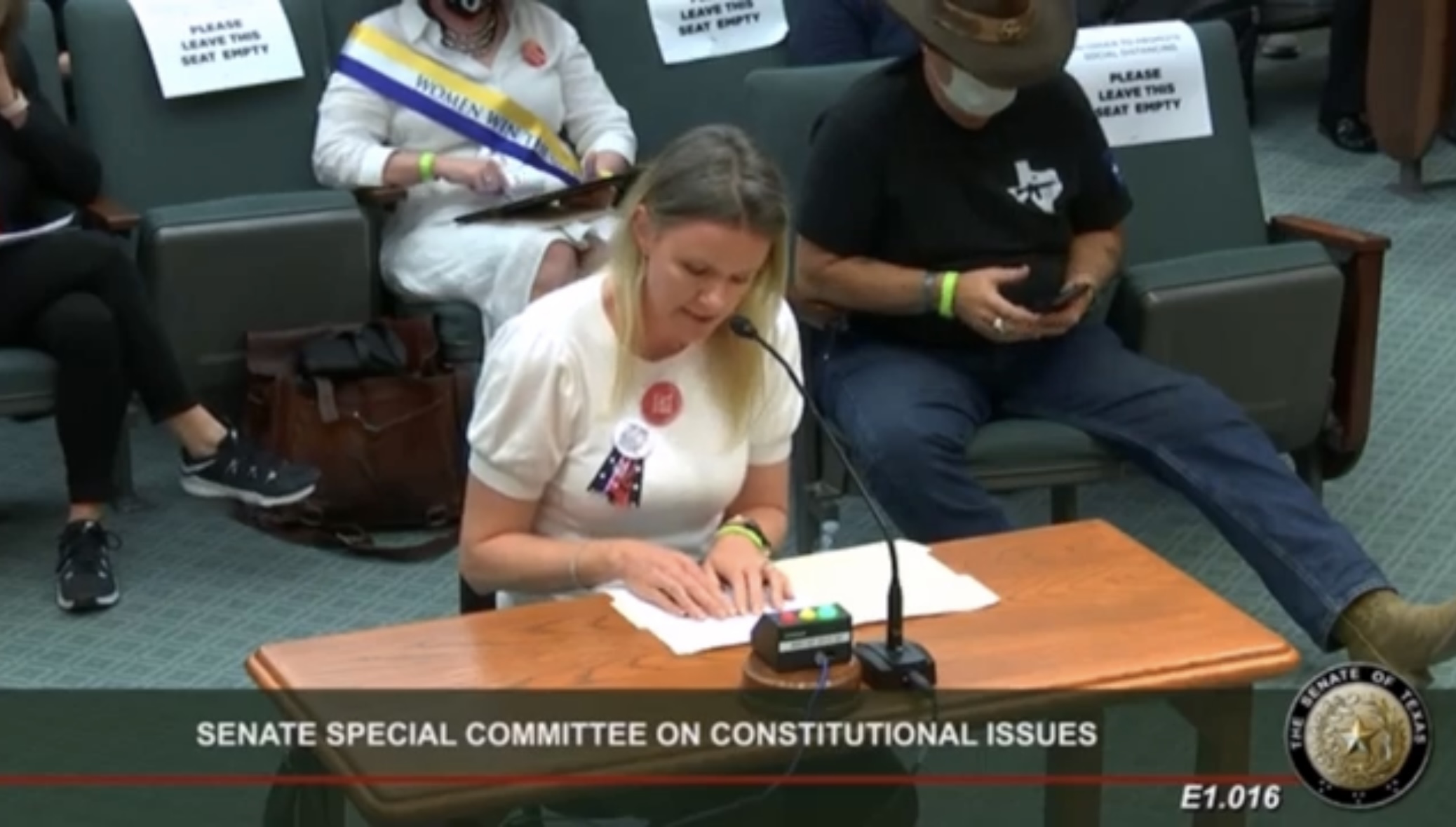 Liz gun sense testimony